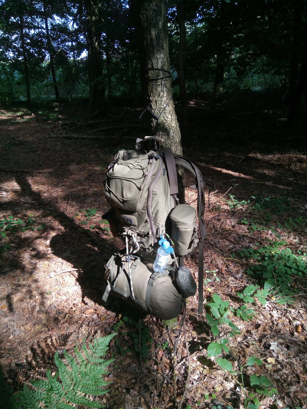 alt=“Gepackter Rucksack für den Blackout  steht in einem sonnigen Wald an einem Baum″