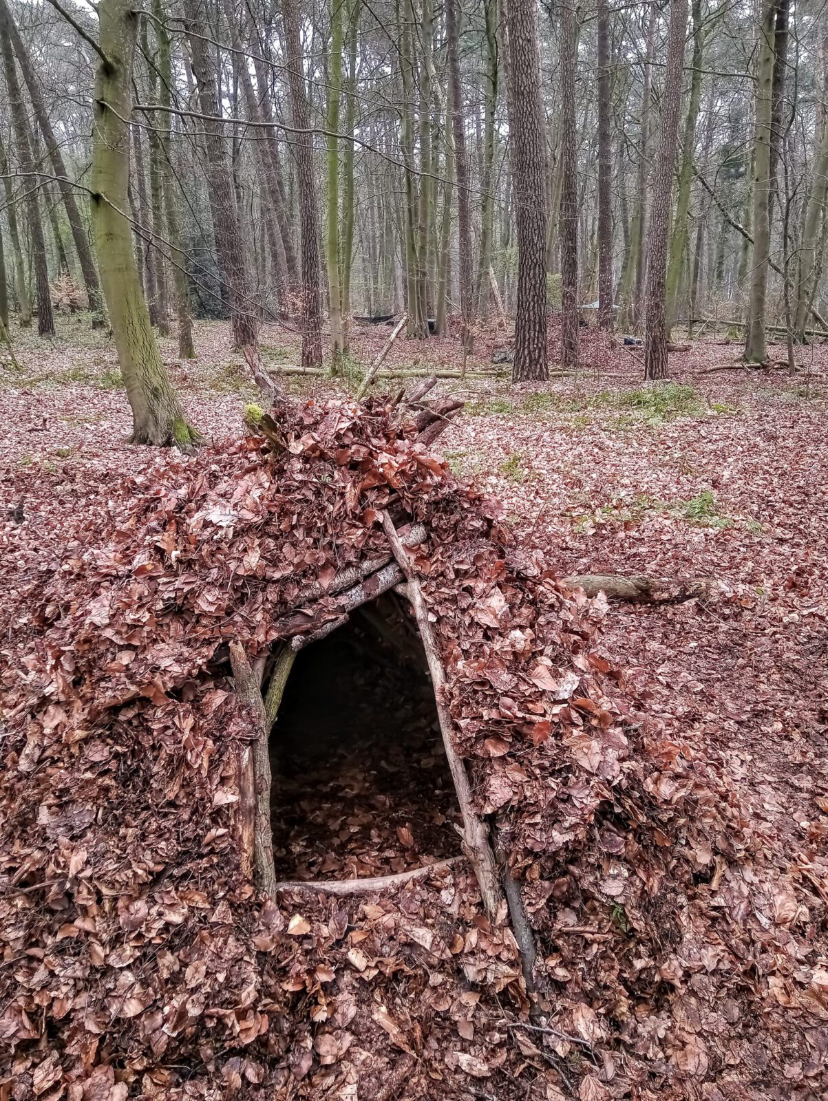 »Survival für Kinder und Teens« Eltern/KindAbenteuer in NRW