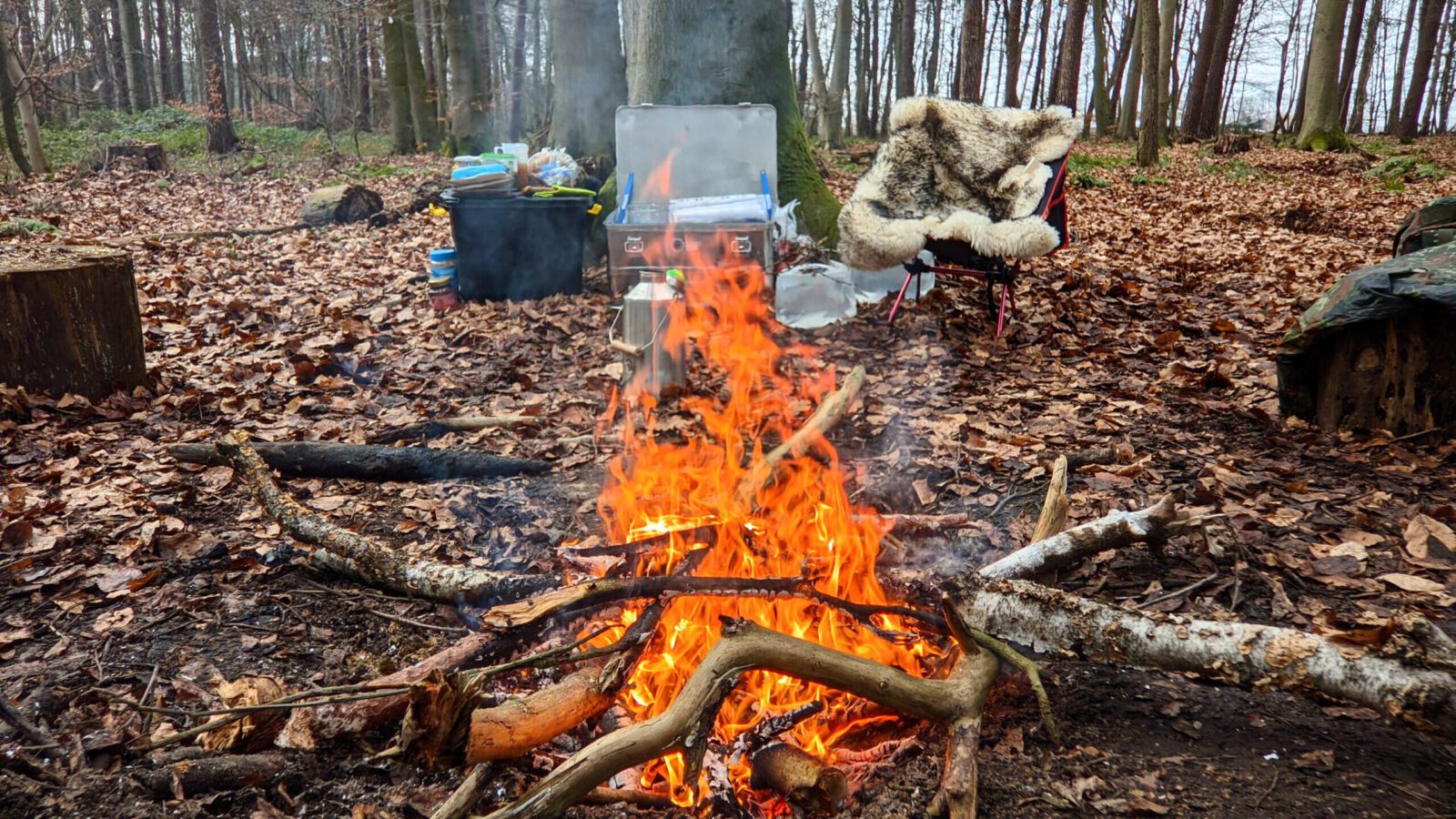 alt=“Prasselndes Lagerfeuer bei einem Survivalkurs im Herbstwald″