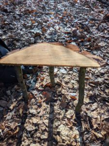 alt="Bushcraft-Tisch aus einer Baumscheibe und drei Stöcken auf Waldboden"
