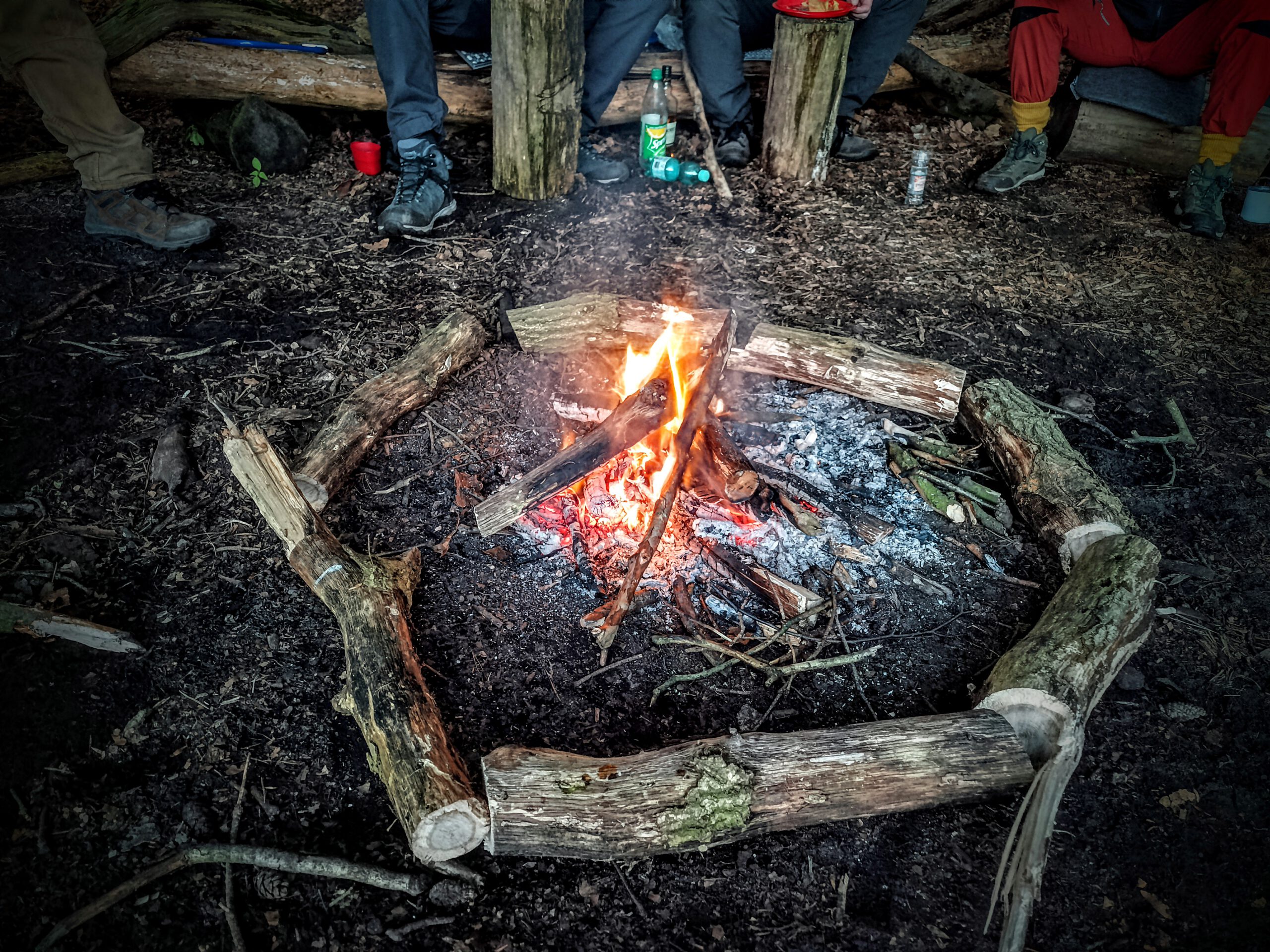 alt=“Mehrere Menschen sitzen auf dem Waldboden und studieren eine Karte″