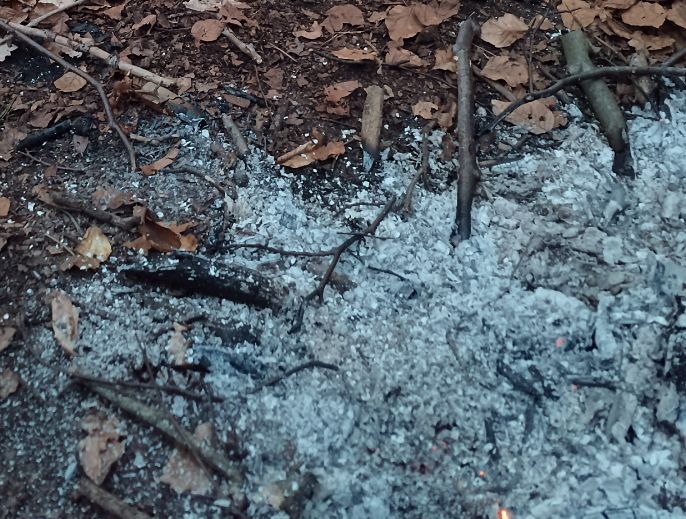 Holzasche aus dem Lagerfeuer zur Reinigung der Hände im Survival und Outdoor Hygiene